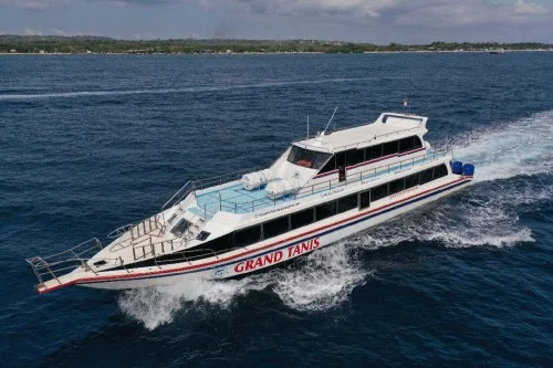The Tanis Express