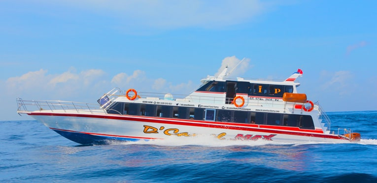 D'Camel Fast Cruise